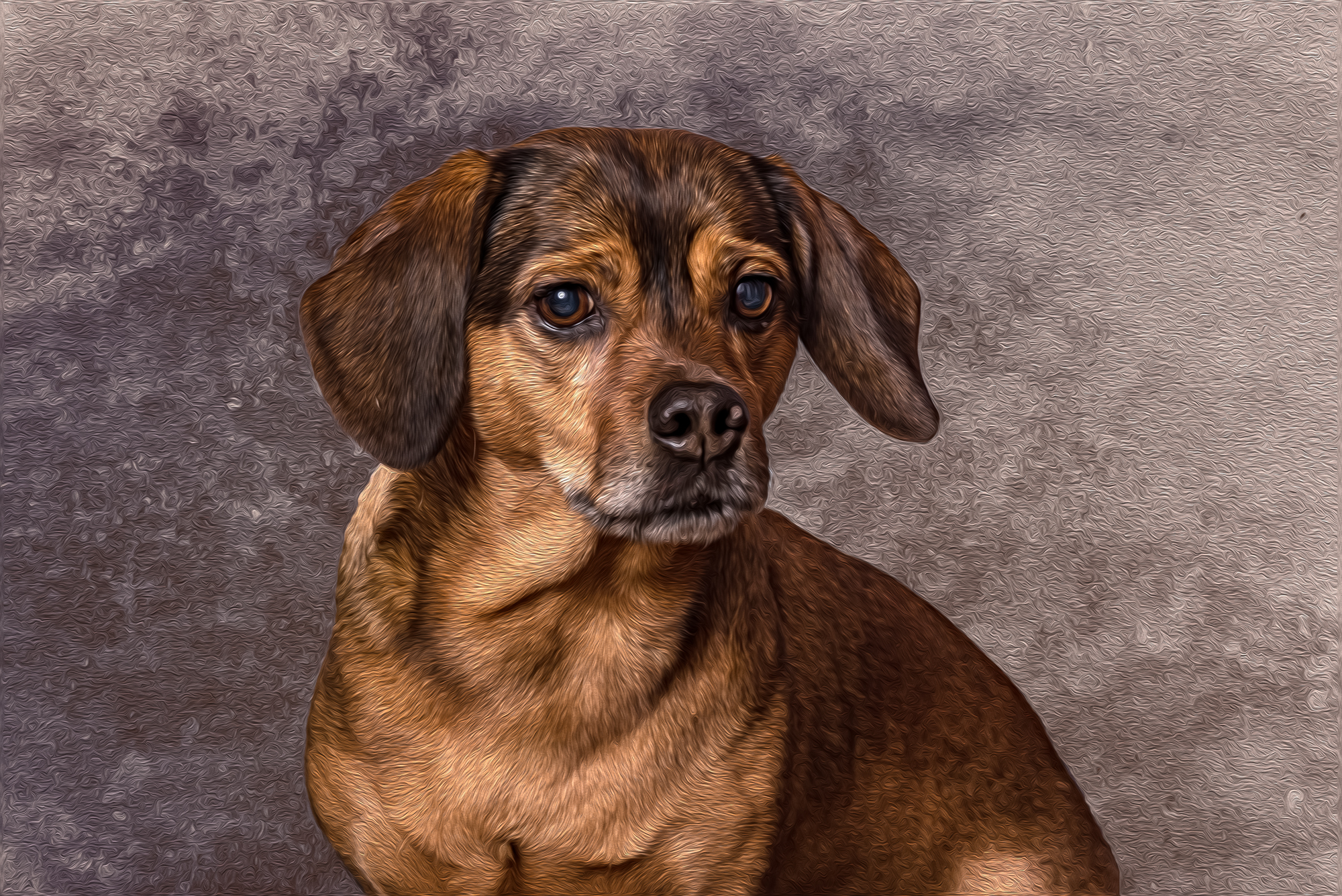 2018-11-25_Apollo_CKP0017-Bearbeitet